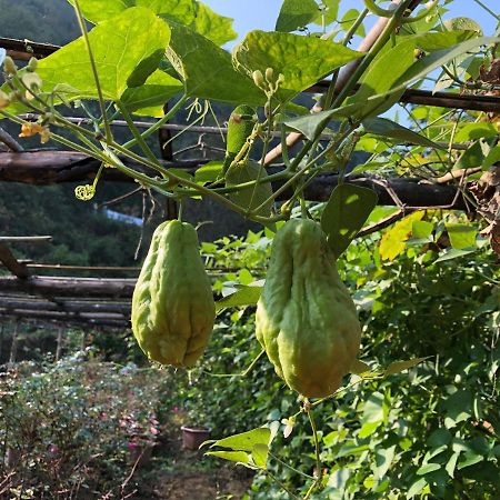 Nasan Green Farm Cao Bang Exterior photo