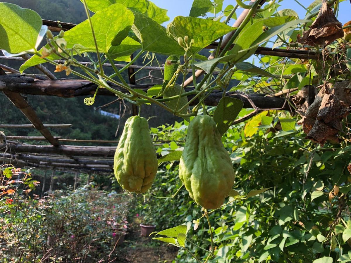 Nasan Green Farm Cao Bang Exterior photo